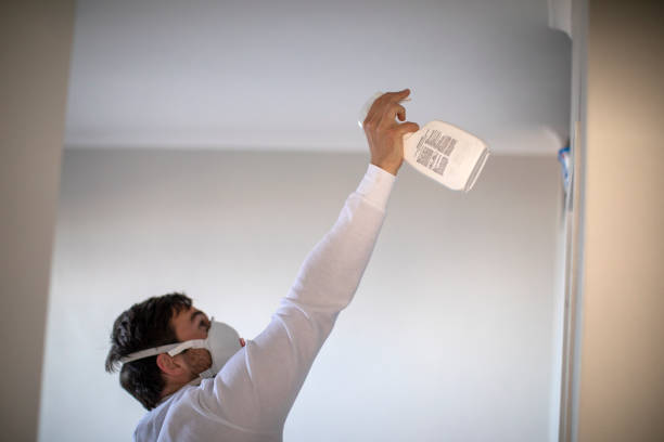 Best Bathroom Mold Remediation in Spearfish, SD