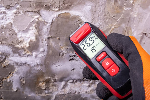 Best Residential Mold Remediation in Spearfish, SD